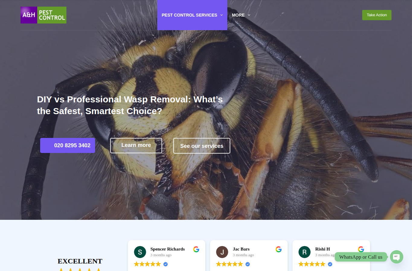 A&H Pest Control website screenshot for wasp nest removal company