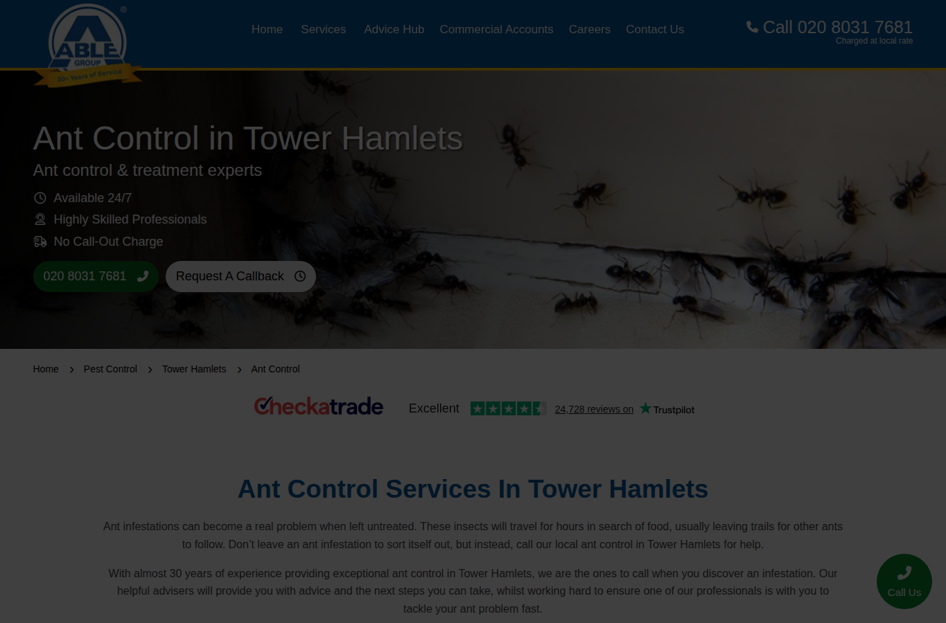 Able Group website screenshot for ant control services