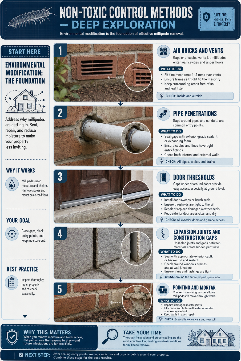 Infographic showing safe millipede removal steps using non-toxic methods for UK homes