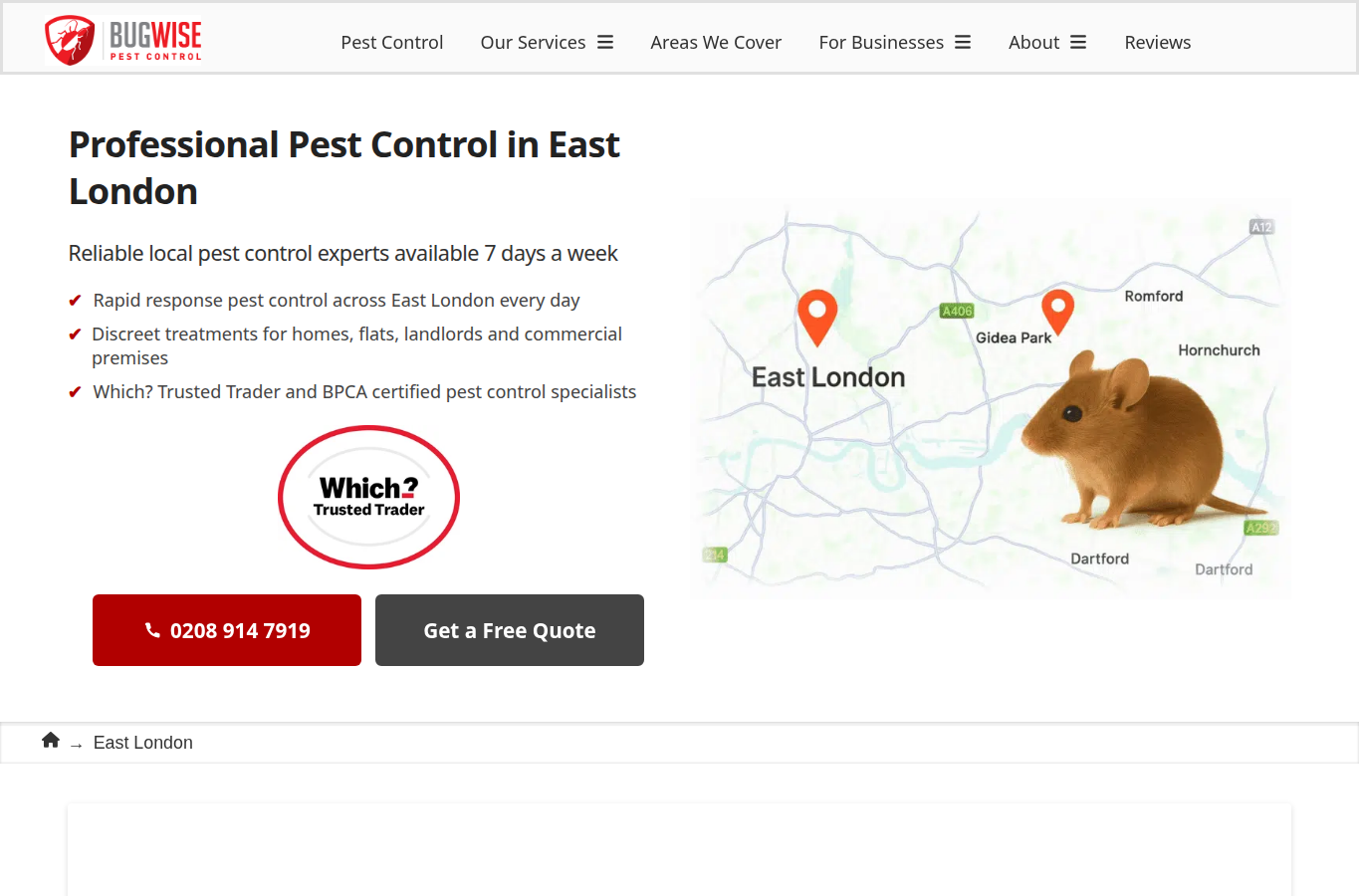 Bugwise Pest Control page screenshot for bug service near me