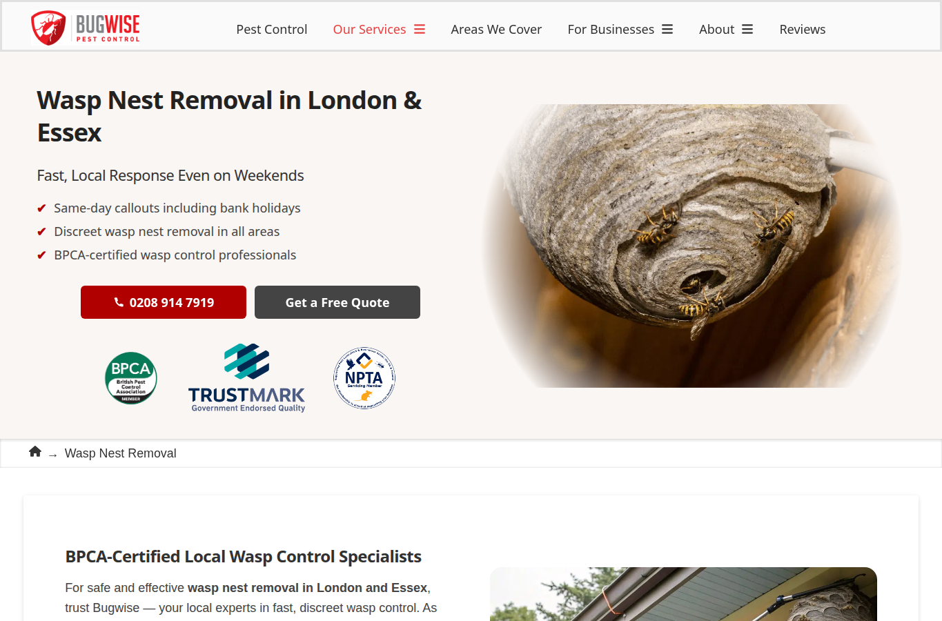 Bugwise Pest Control website screenshot for wasp nest removal company