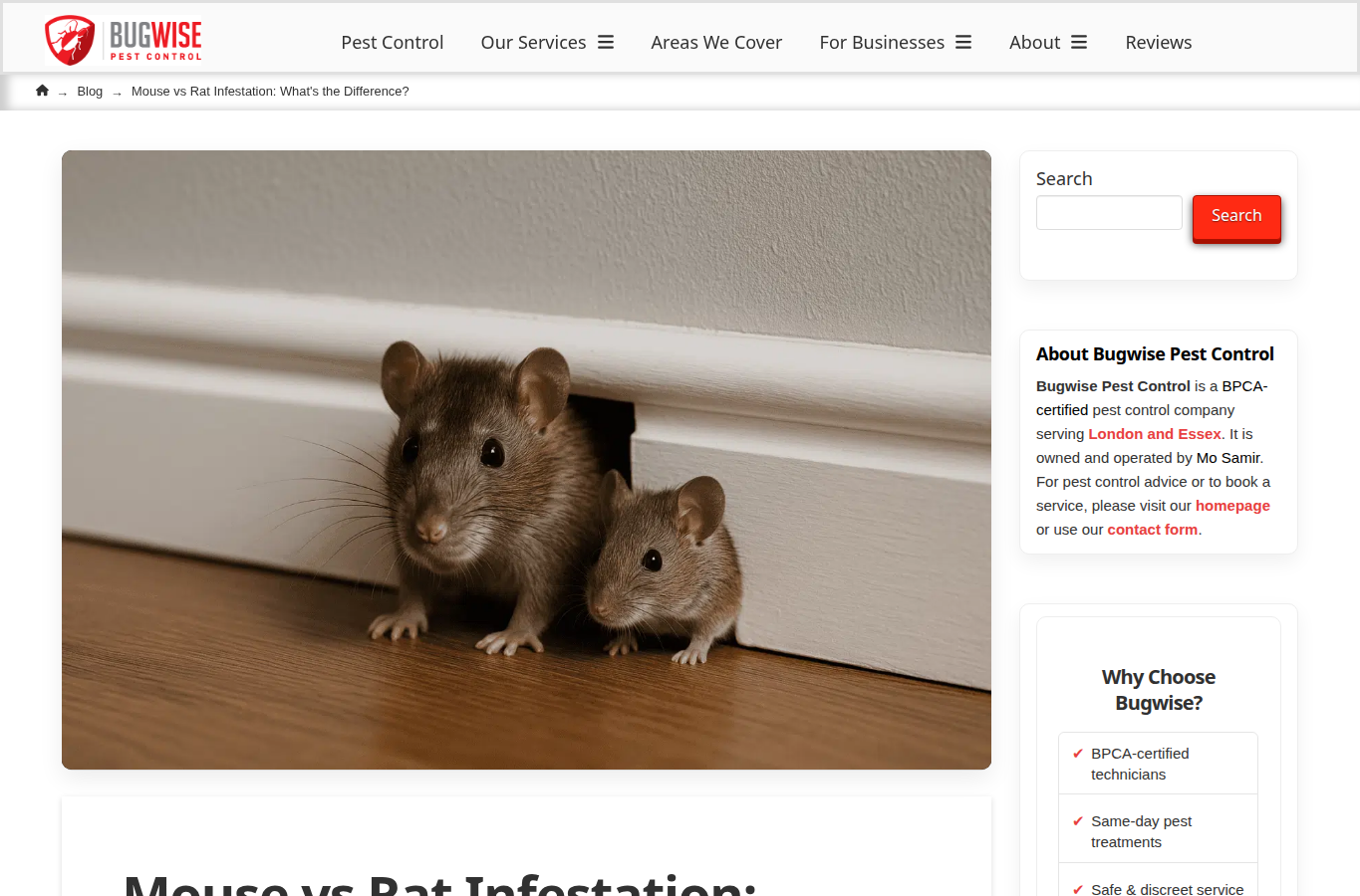 Bugwise Pest Control website screenshot for rodents