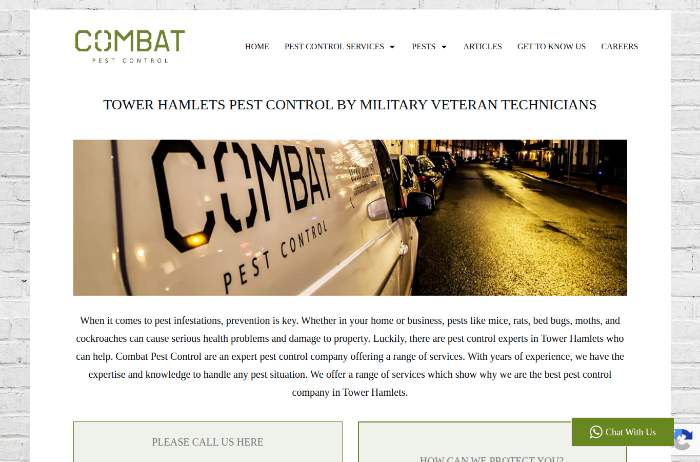 Combat Pest Control website screenshot for ant control services