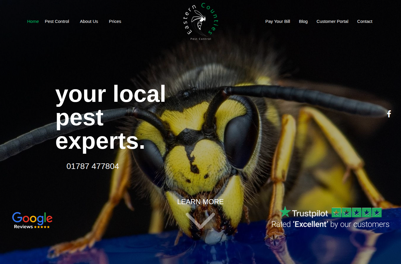 Eastern Counties Pest Control page screenshot for bug service near me