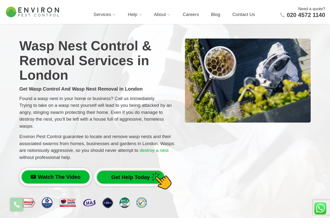Environ Pest Control website screenshot for wasp nest removal london