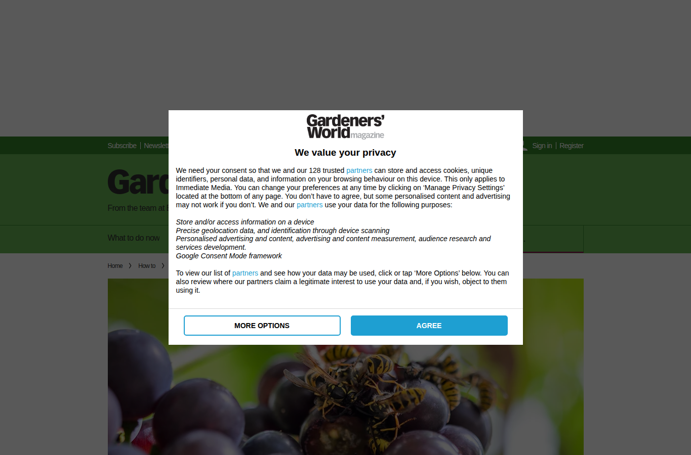 Gardeners' World website screenshot for wasp nest removal london
