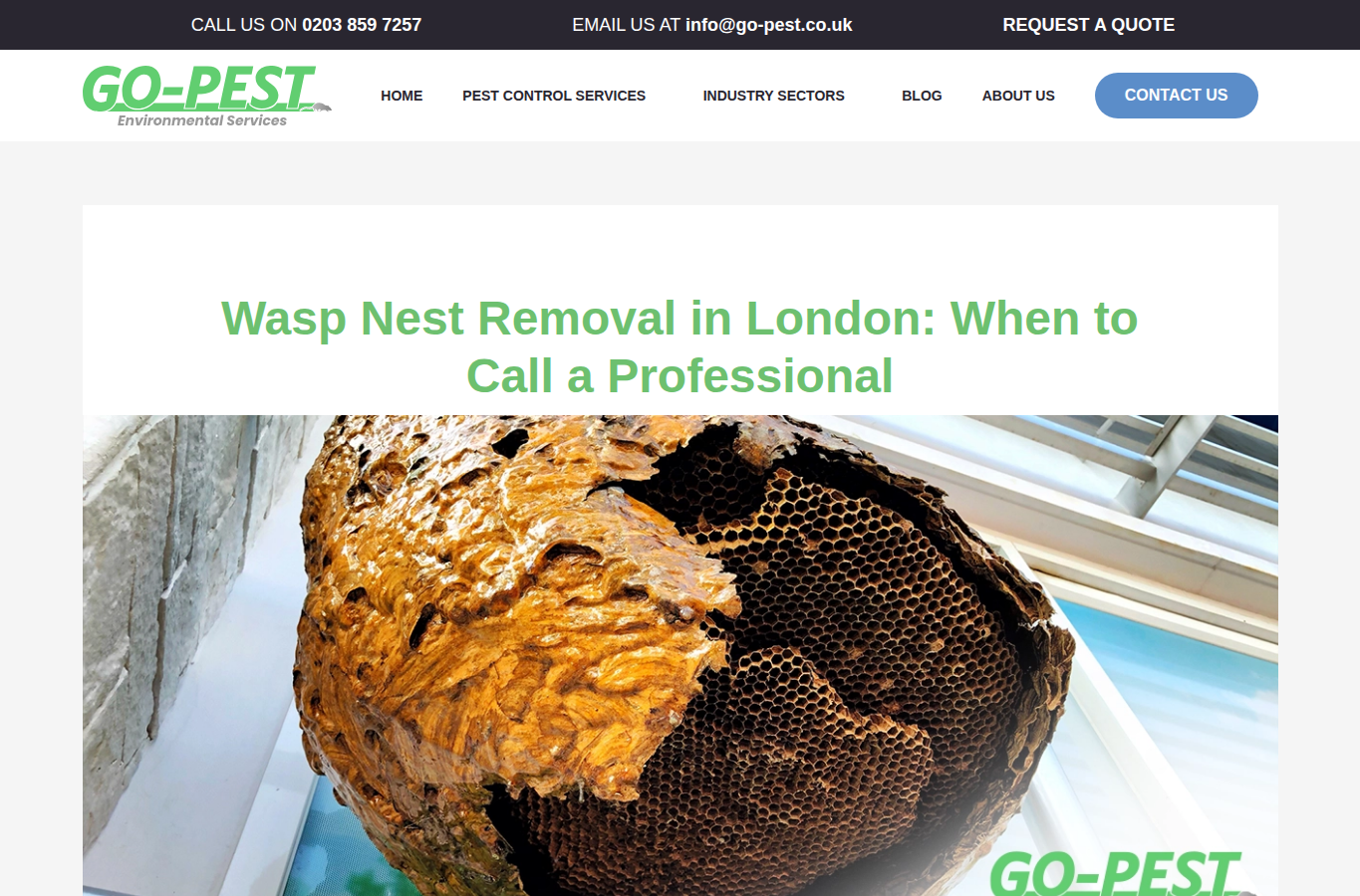 Go-Pest website screenshot for wasp nest removal london