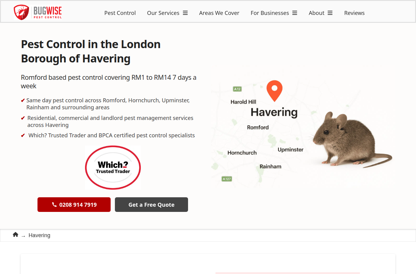 Havering Pest Control page screenshot for pest control havering