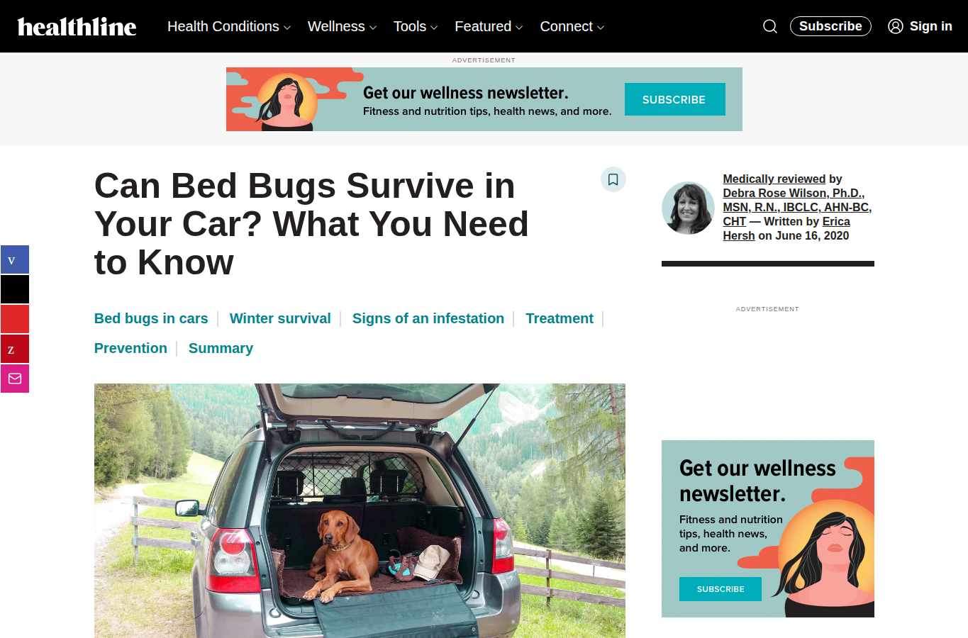 Healthline page screenshot for bed bugs in car
