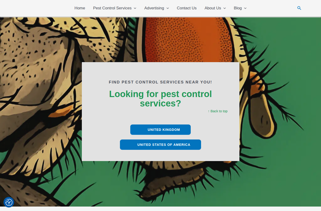 HowToPestControl page screenshot for bed bugs in car