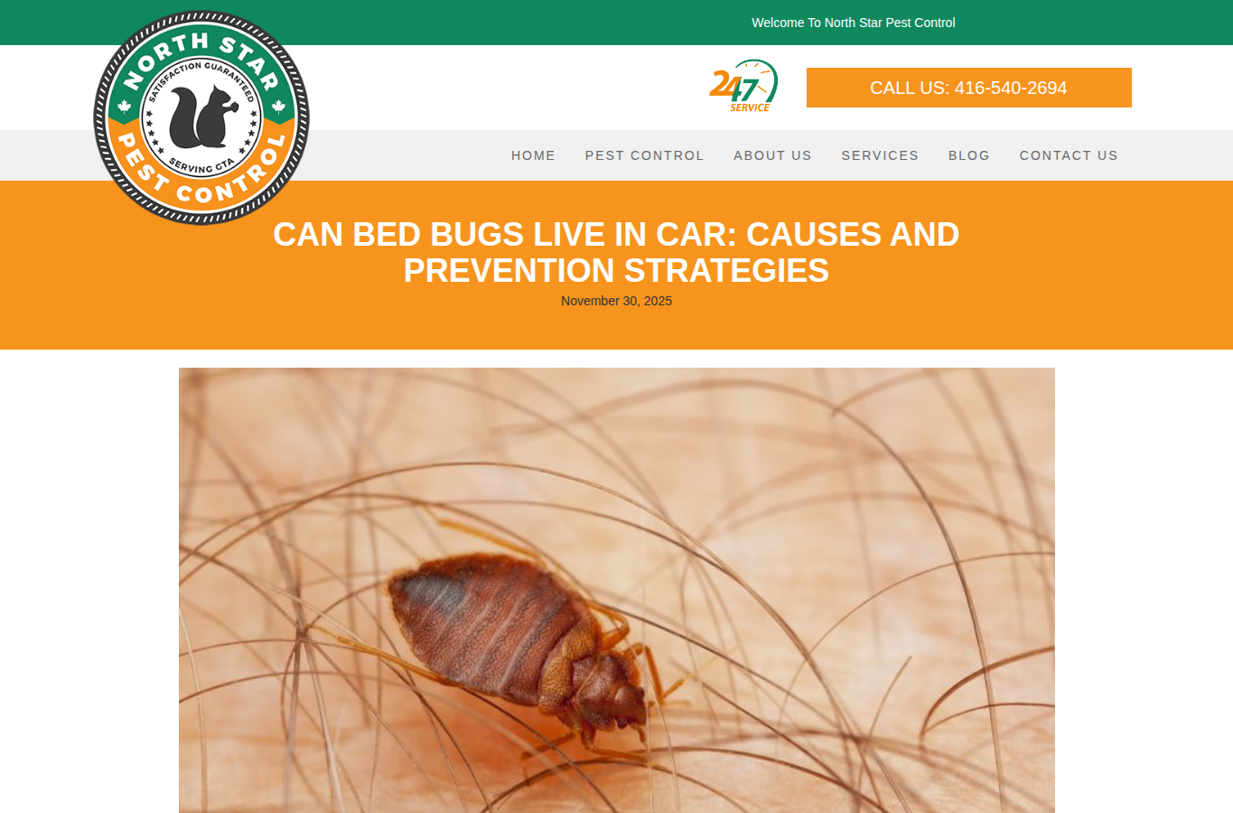 North Star Pest Control page screenshot for bed bugs in car