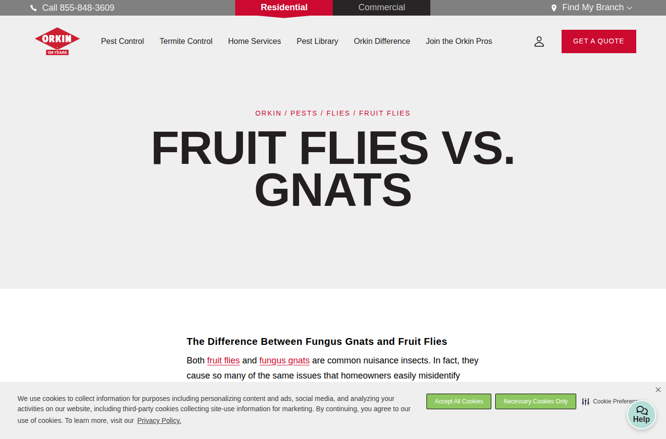 Orkin website screenshot for fungus gnats vs fruit flies