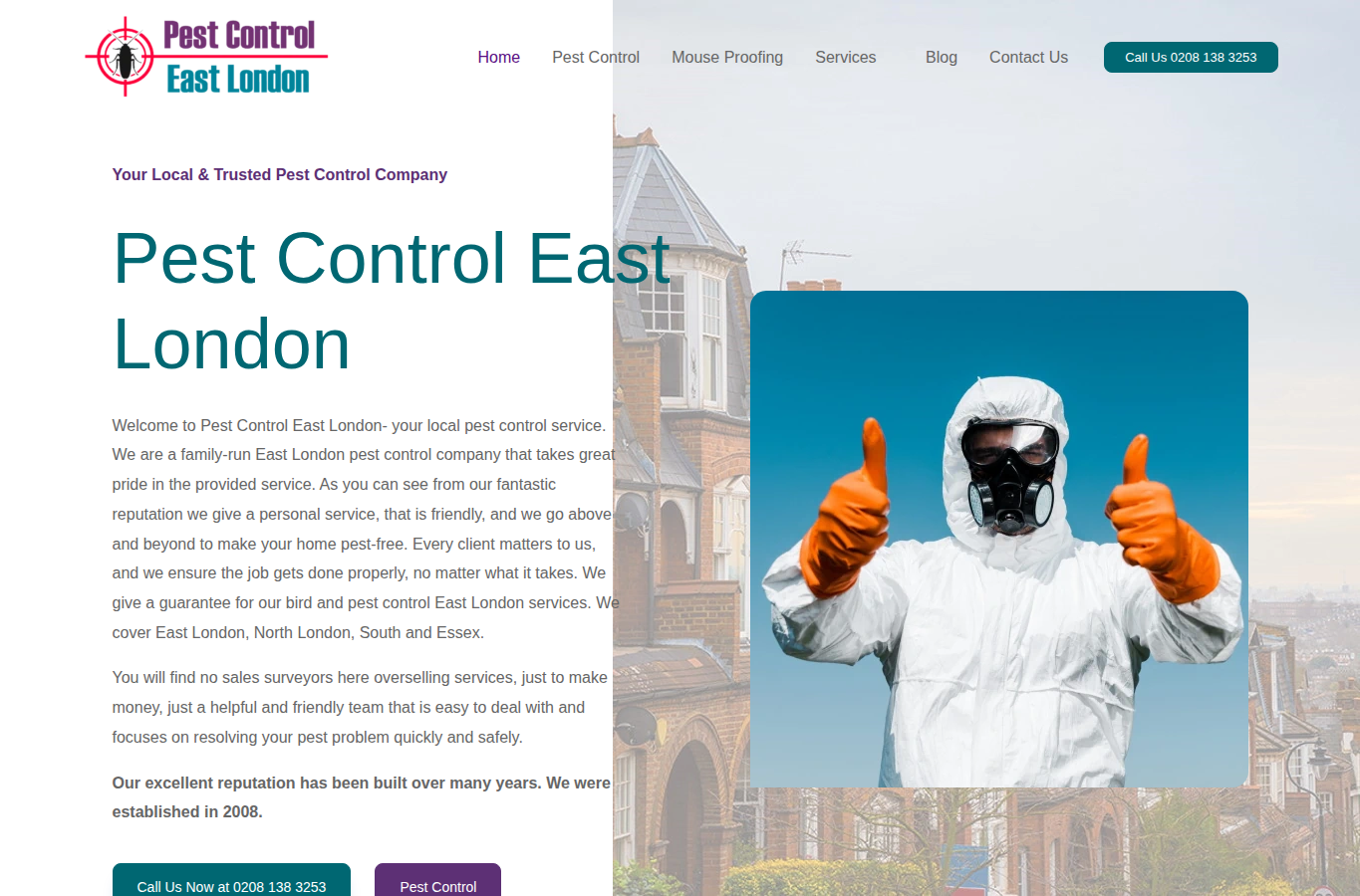 Pest Control East London website screenshot for east london pest control
