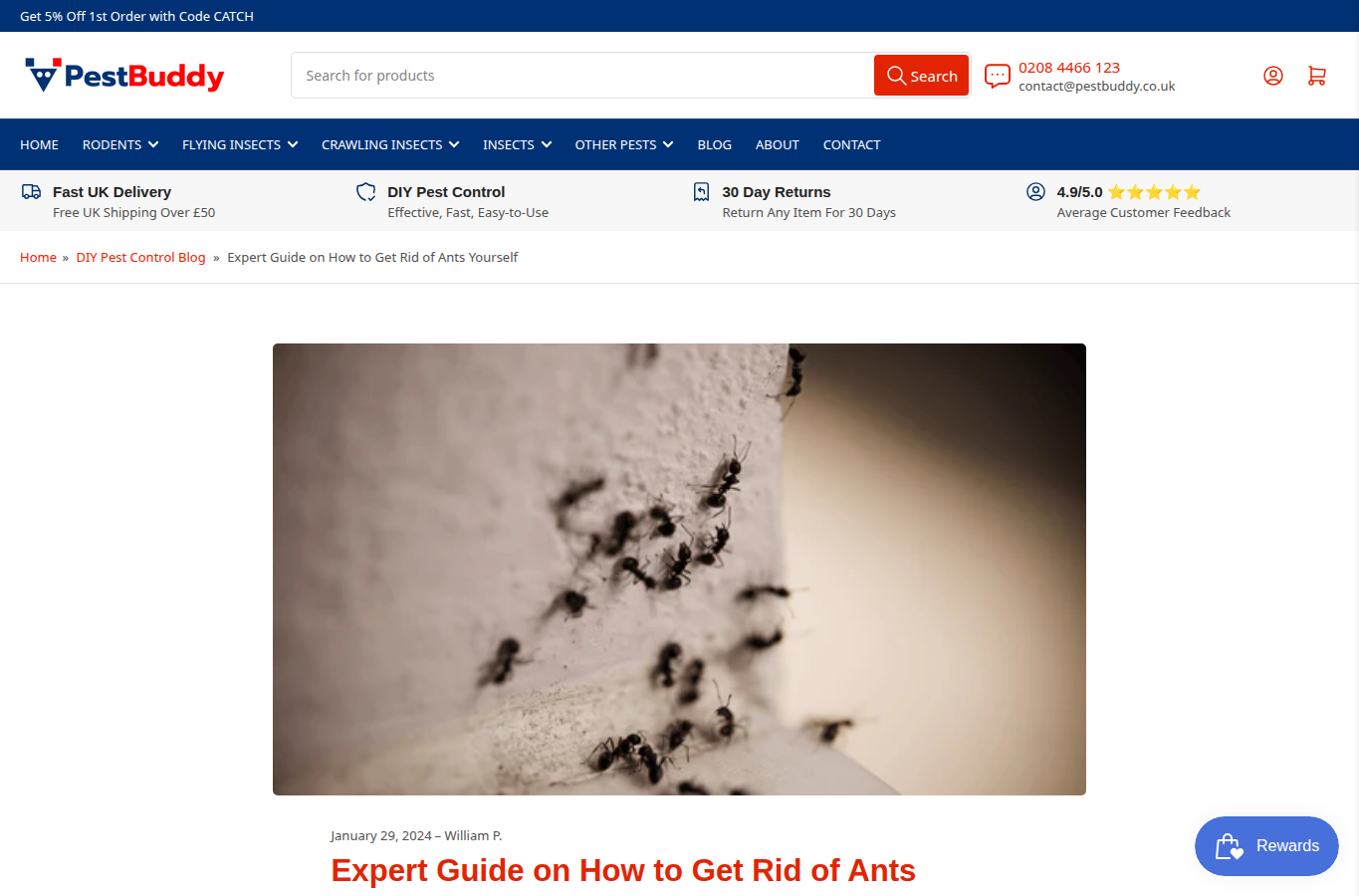 PestBuddy website screenshot for ant control services