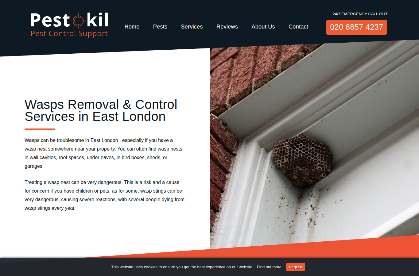 Pestokill website screenshot for wasp nest removal company