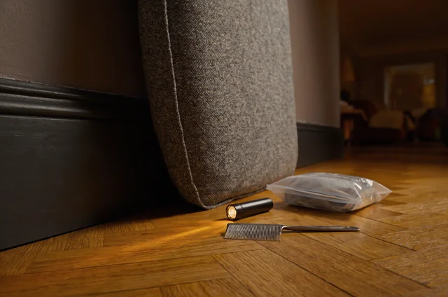Close-up inspection setup of pet bedding, fine-toothed comb, and flashlight for flea control for homes.