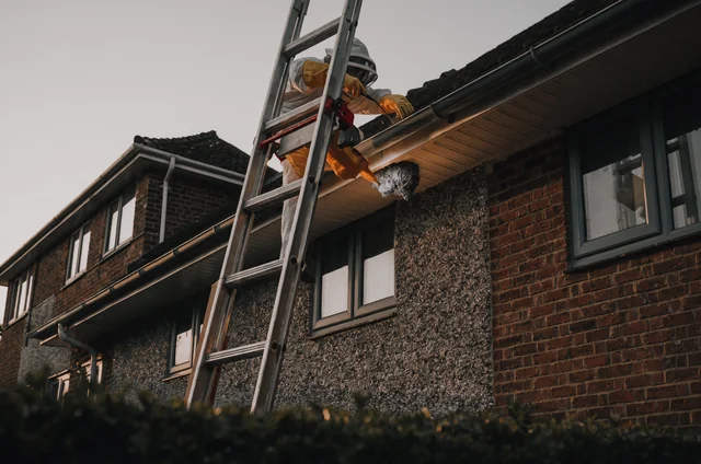 Pest control technician in sting-rated PPE on a ladder treating a wasp nest under the eaves, showing why wasp nest removal height access safety regulations push roofline jobs above £100.