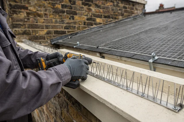 Close-up of stainless steel pigeon spikes being installed on a Victorian terrace ledge in Newham, with tensioned bird netting over a courtyard in the background, illustrating bird control Newham method choices.