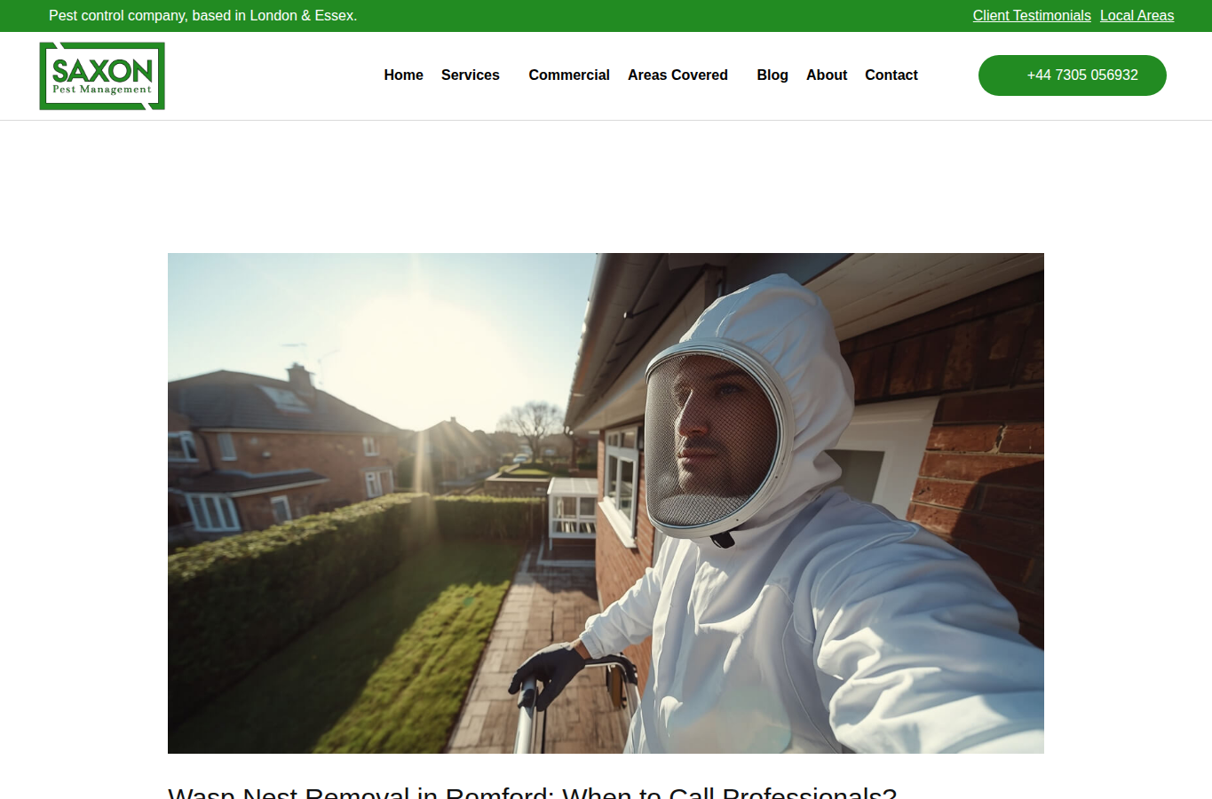 Saxon Pest Management website screenshot for wasp nest removal company