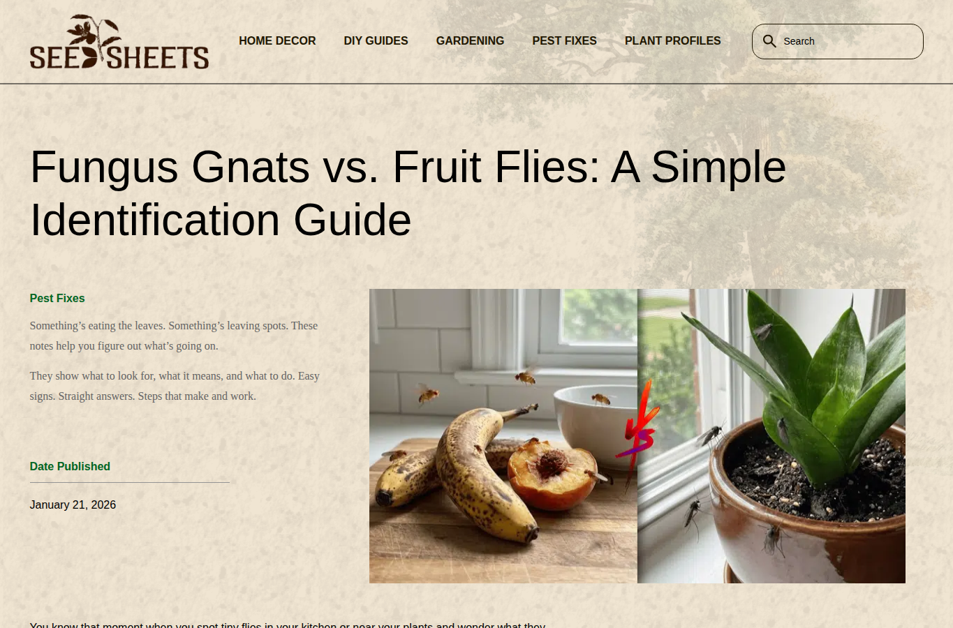 Seed Sheets website screenshot for fungus gnats vs fruit flies