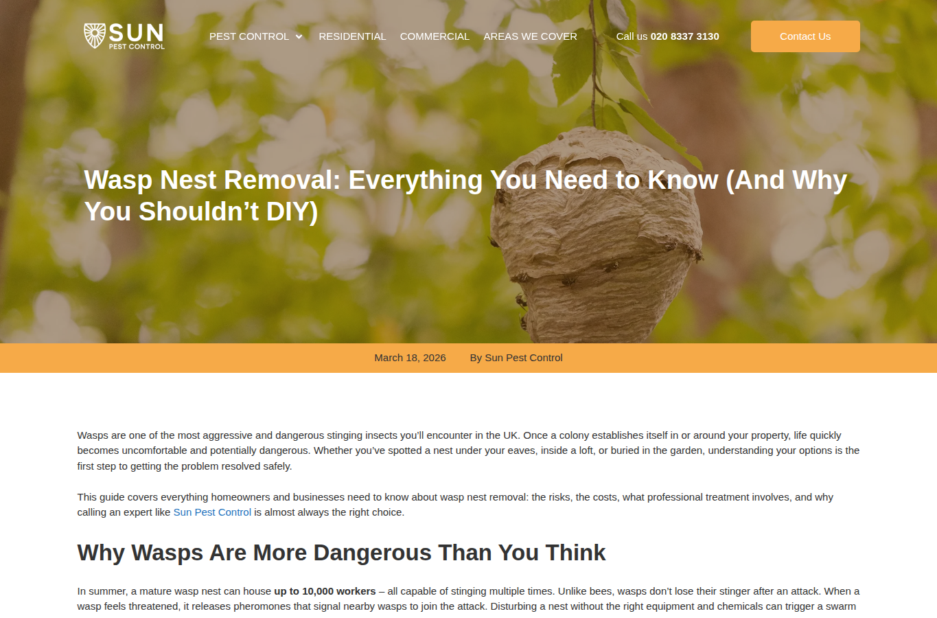 Sun Pest Control website screenshot for wasp nest removal london
