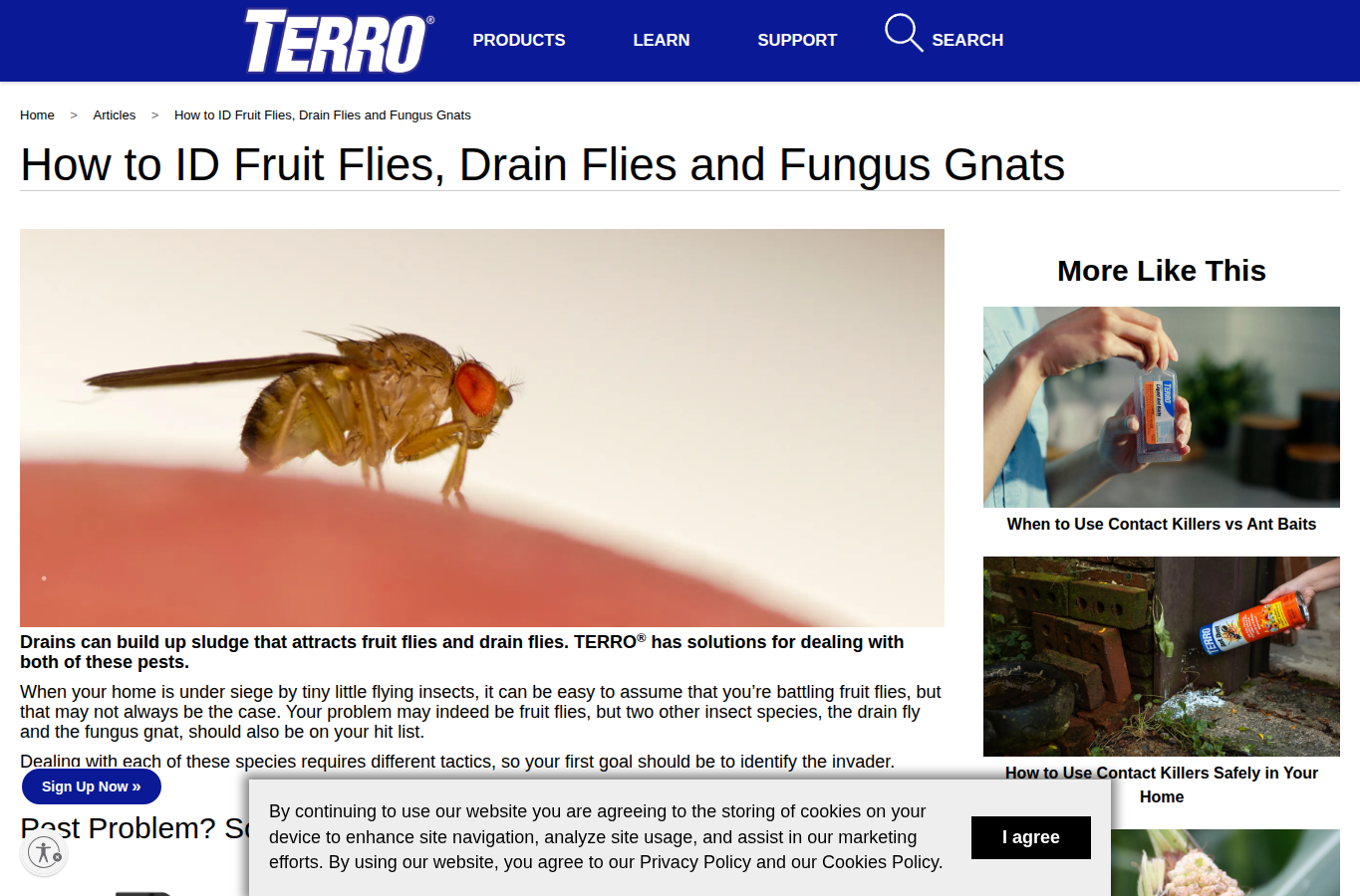 TERRO website screenshot for fungus gnats vs fruit flies