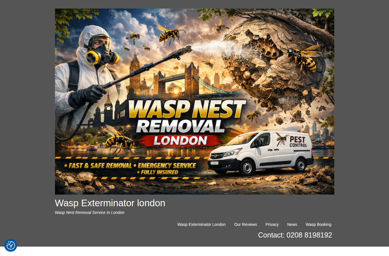 Wasp Exterminator London website screenshot for wasp nest removal company