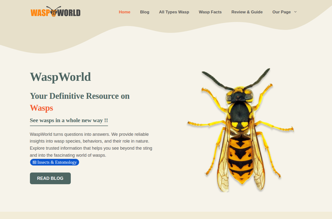 Wasp World website screenshot for cow ant