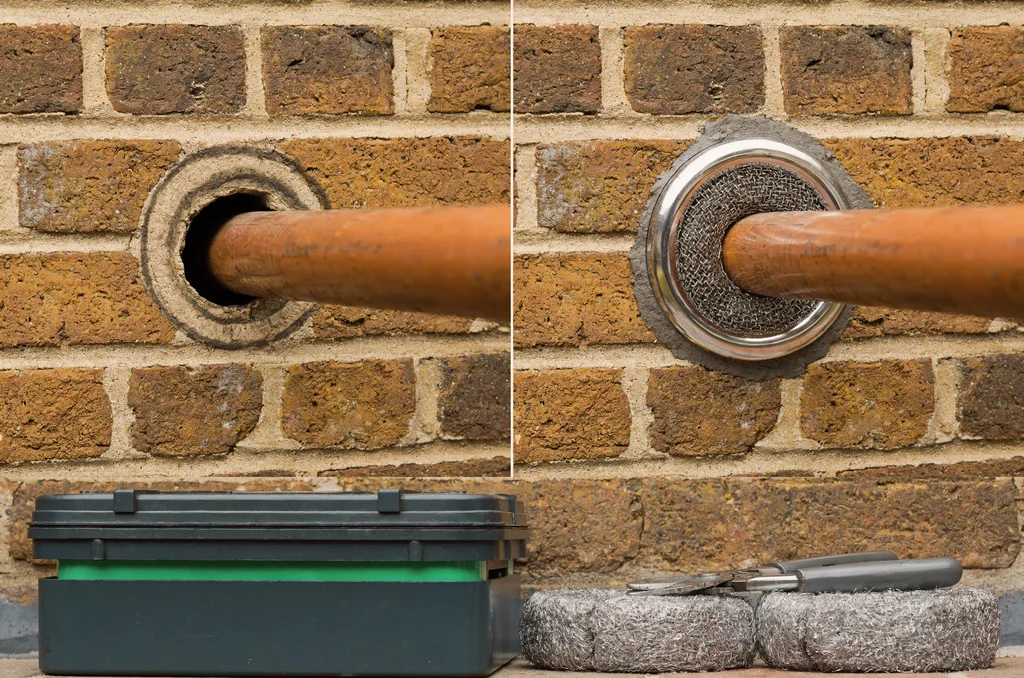 Rodent control inspection in a UK home showing physical proofing materials beside an unsealed pipe penetration in external brickwork.