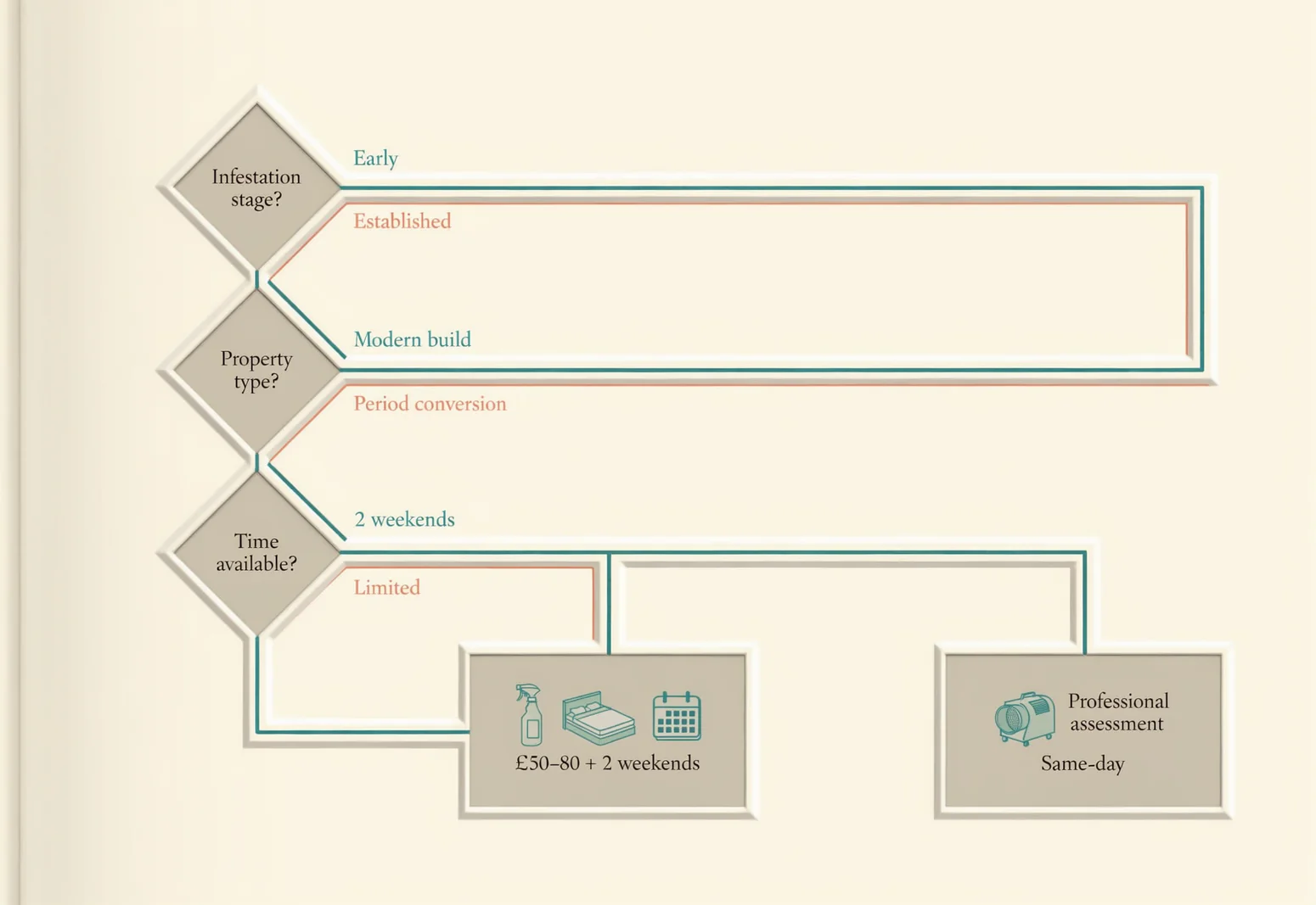 Decision flowchart showing when to choose DIY bed bugs spray near me versus professional heat treatment for London flats