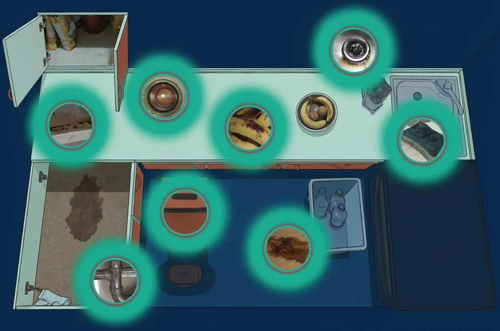 Overhead UK kitchen map highlighting the seven spots where fruit flies lay eggs — fruit bowl, plughole drain, bin base, recycling box, damp cloths, cupboard produce and the under-sink trap — answering do fruit flies lay eggs beyond the fruit bowl.